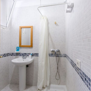 S-Fernando-Hab-Indiv-03 S-Fernando-Hab-Indiv-03